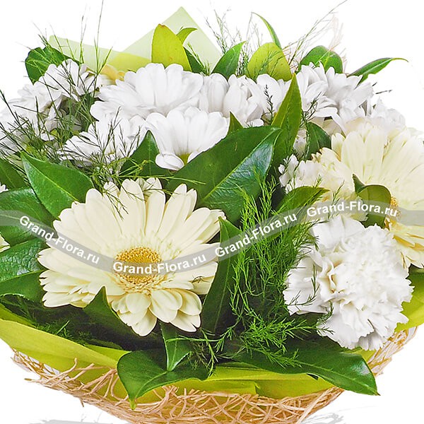 Ласковое утро - букет из белых гербер,хризантем и гвоздик